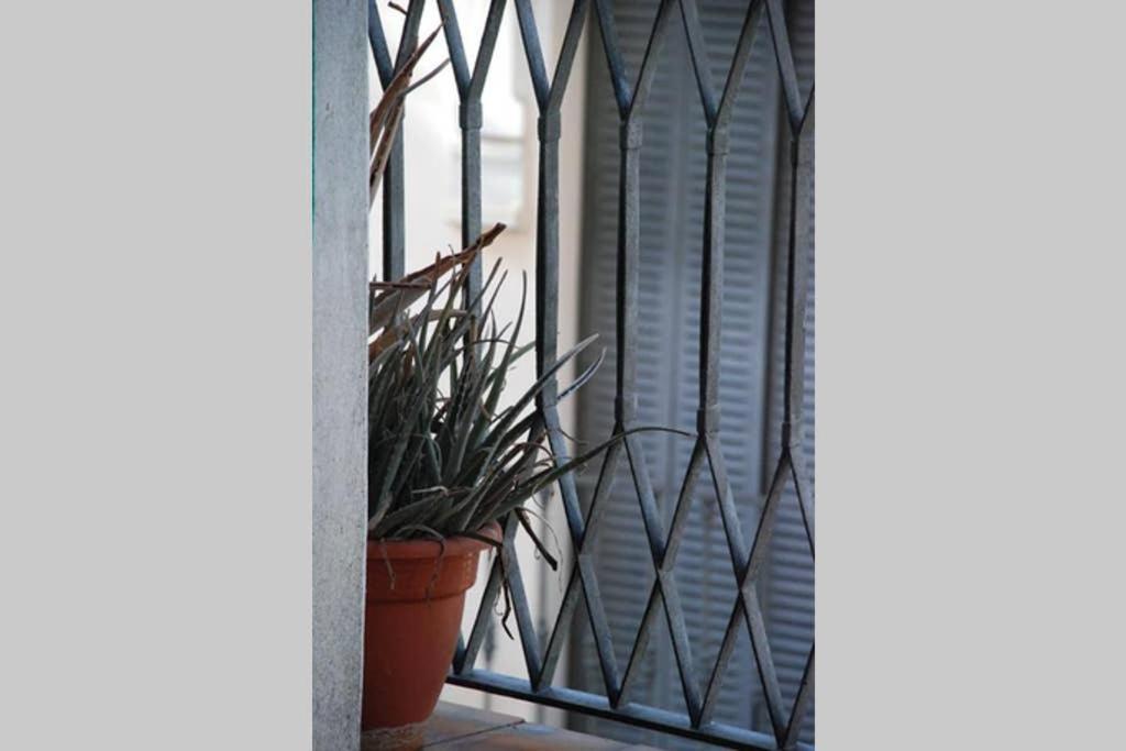Apartamento Centro Encarnacion 2º I Seville Exterior photo
